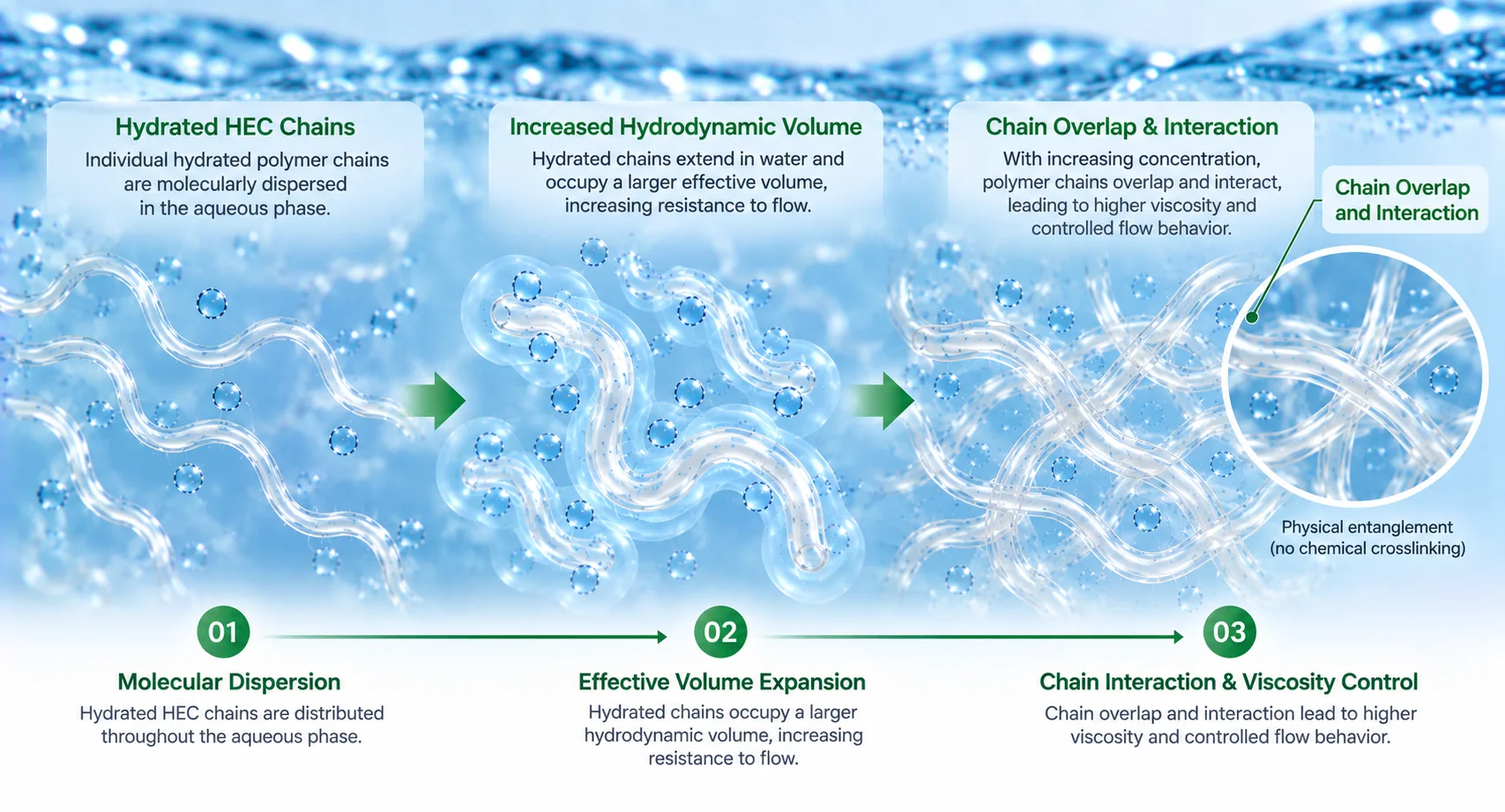 Molecular Chain Interaction & Viscosity Control