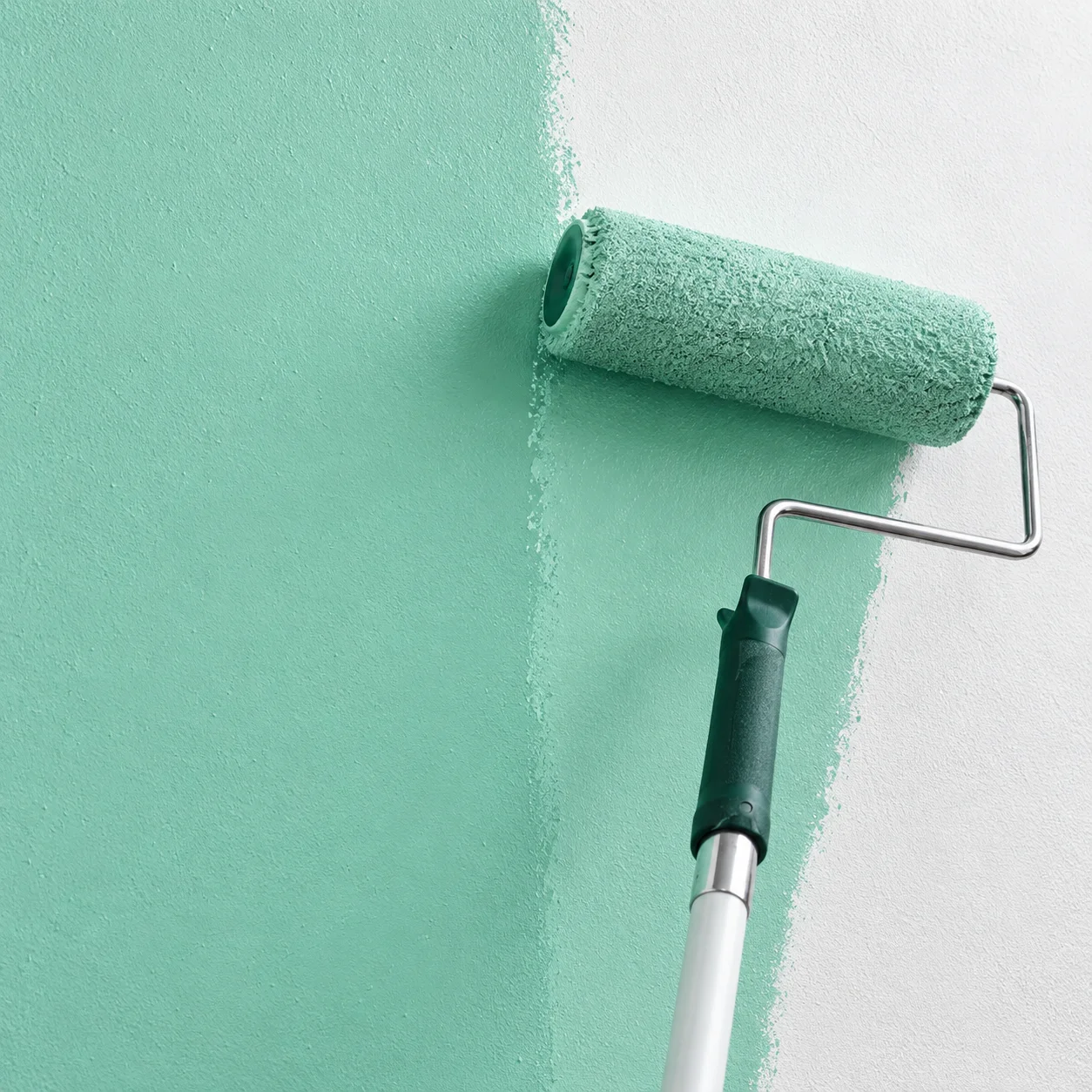 Paint & Coating 